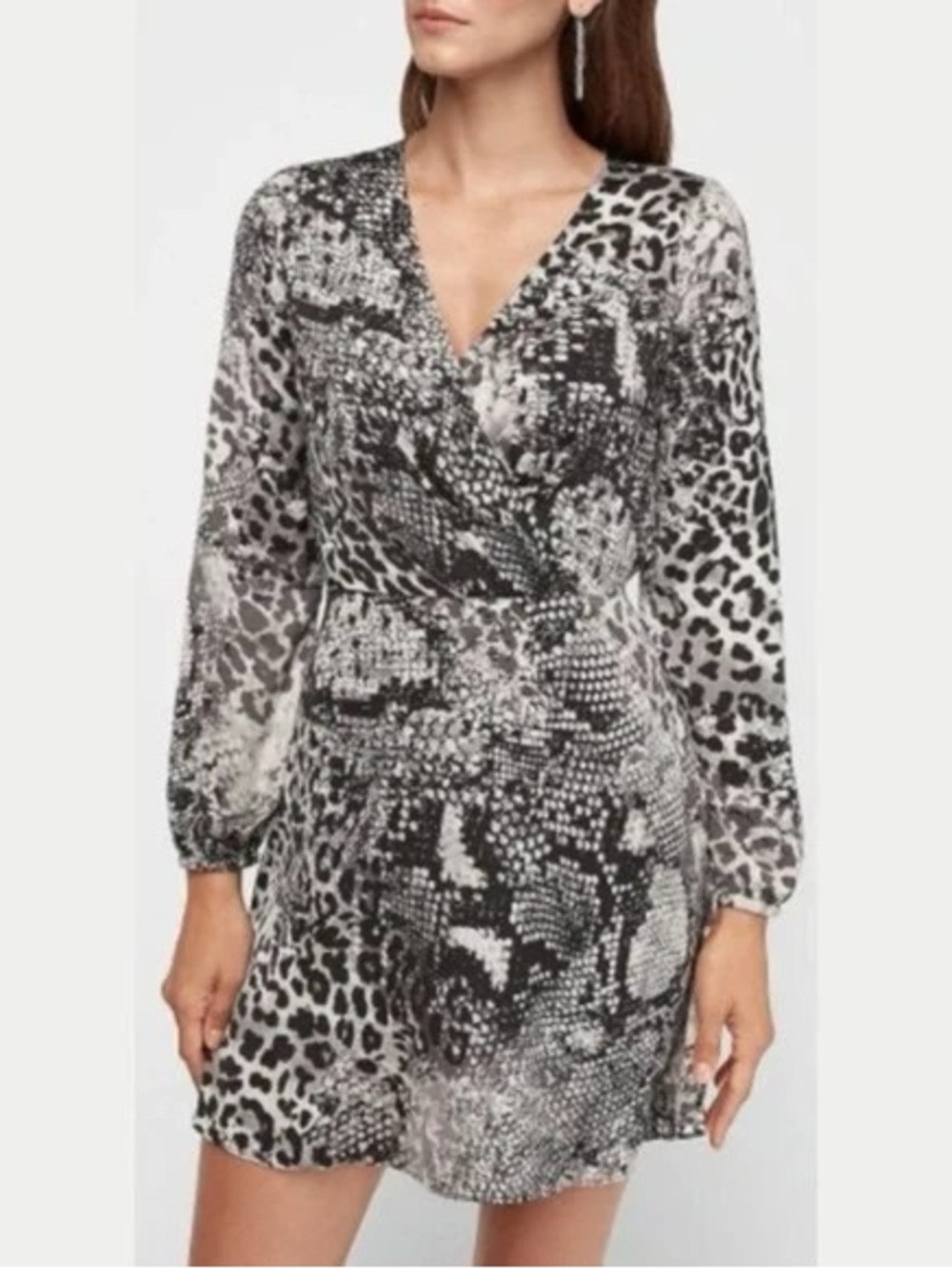 Express Animal Print Long Sleeve Dress
